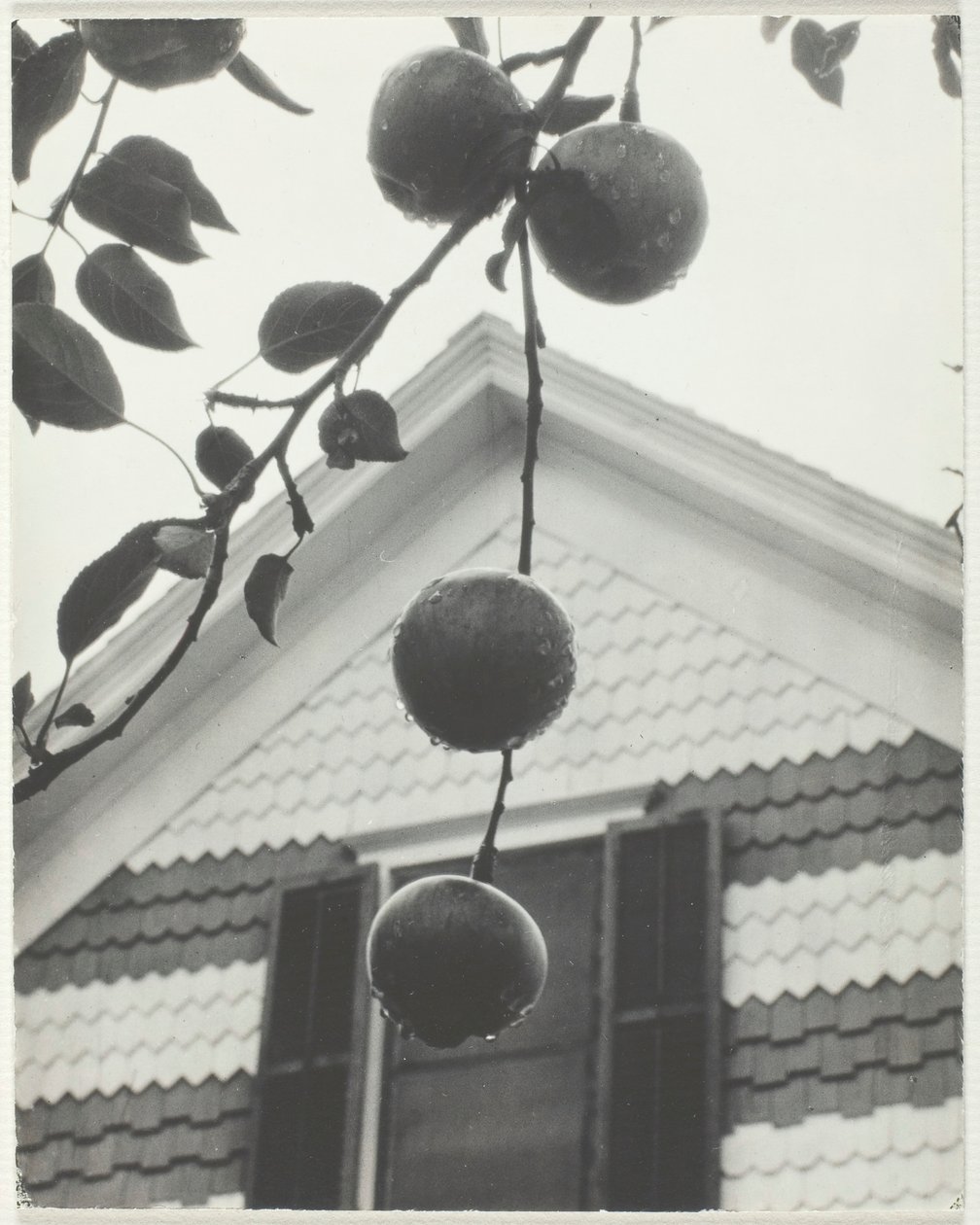 Gable and Apples by Alfred Stieglitz