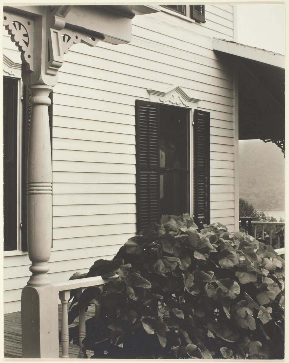 House and Grape Leaves by Alfred Stieglitz