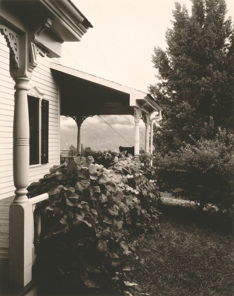 House and Grape Leaves by Alfred Stieglitz