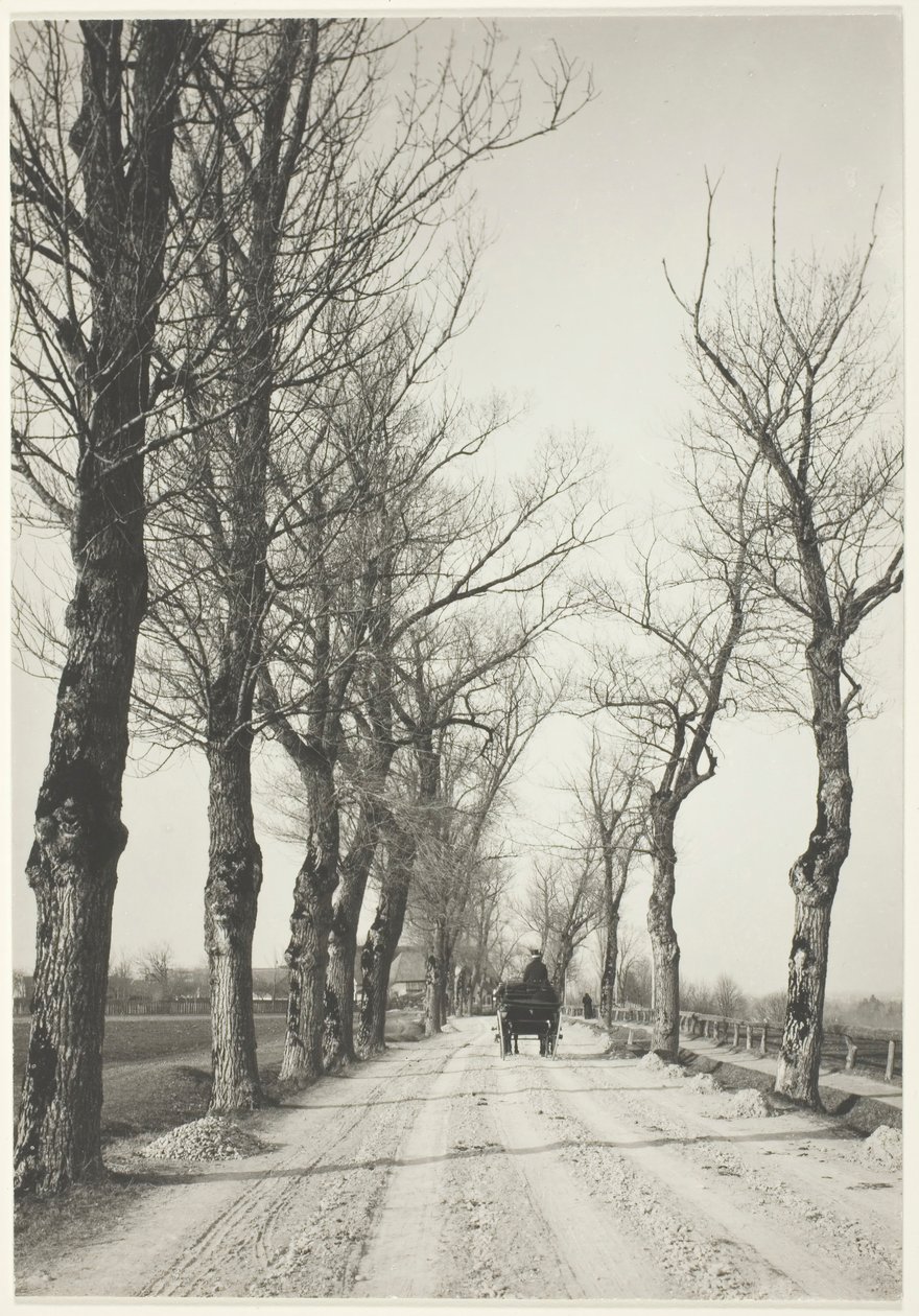 November Days by Alfred Stieglitz