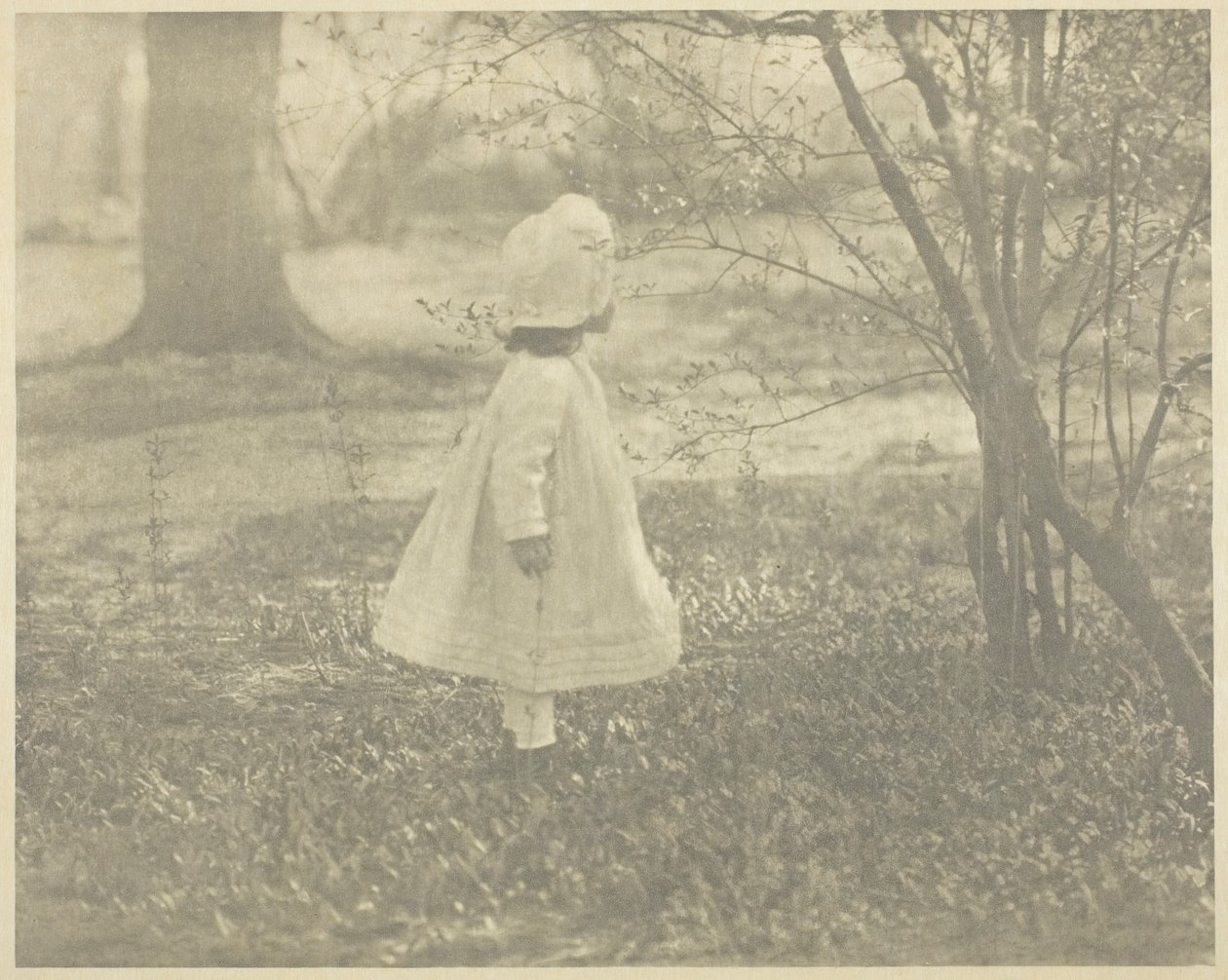 Spring - The Child, 1901 by Alfred Stieglitz