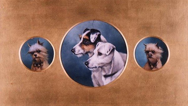 Fox Terriers and Yorkshire Terriers by Alfred Wheeler