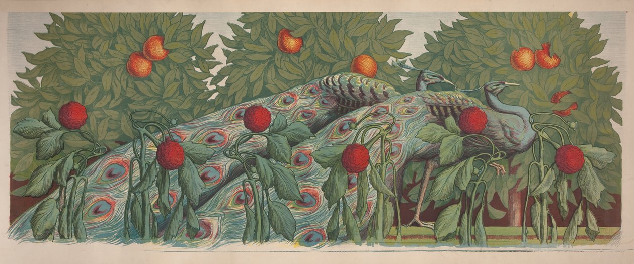 The Peacocks by Alfredo Müller