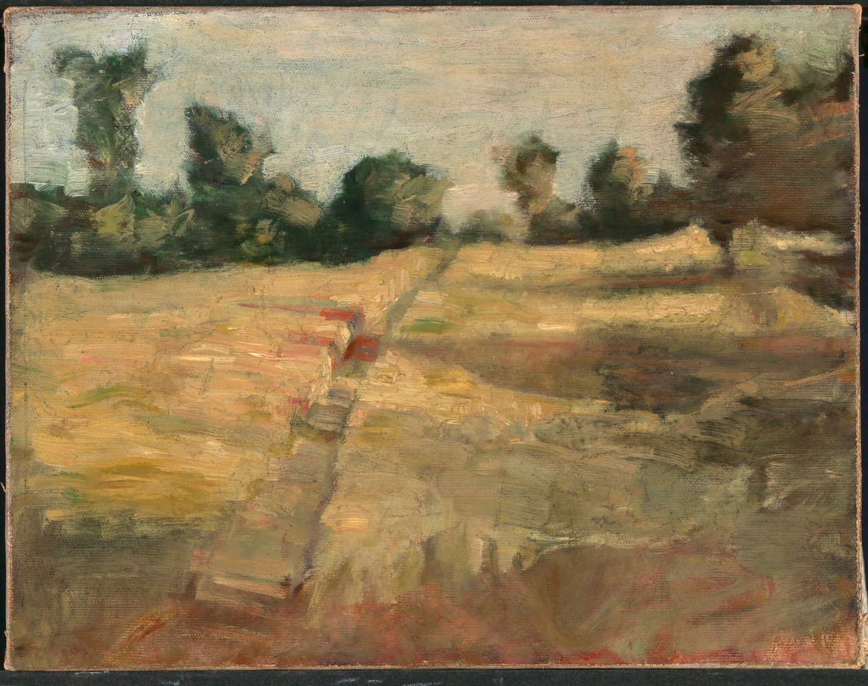 The Field by Alice Pike Barney