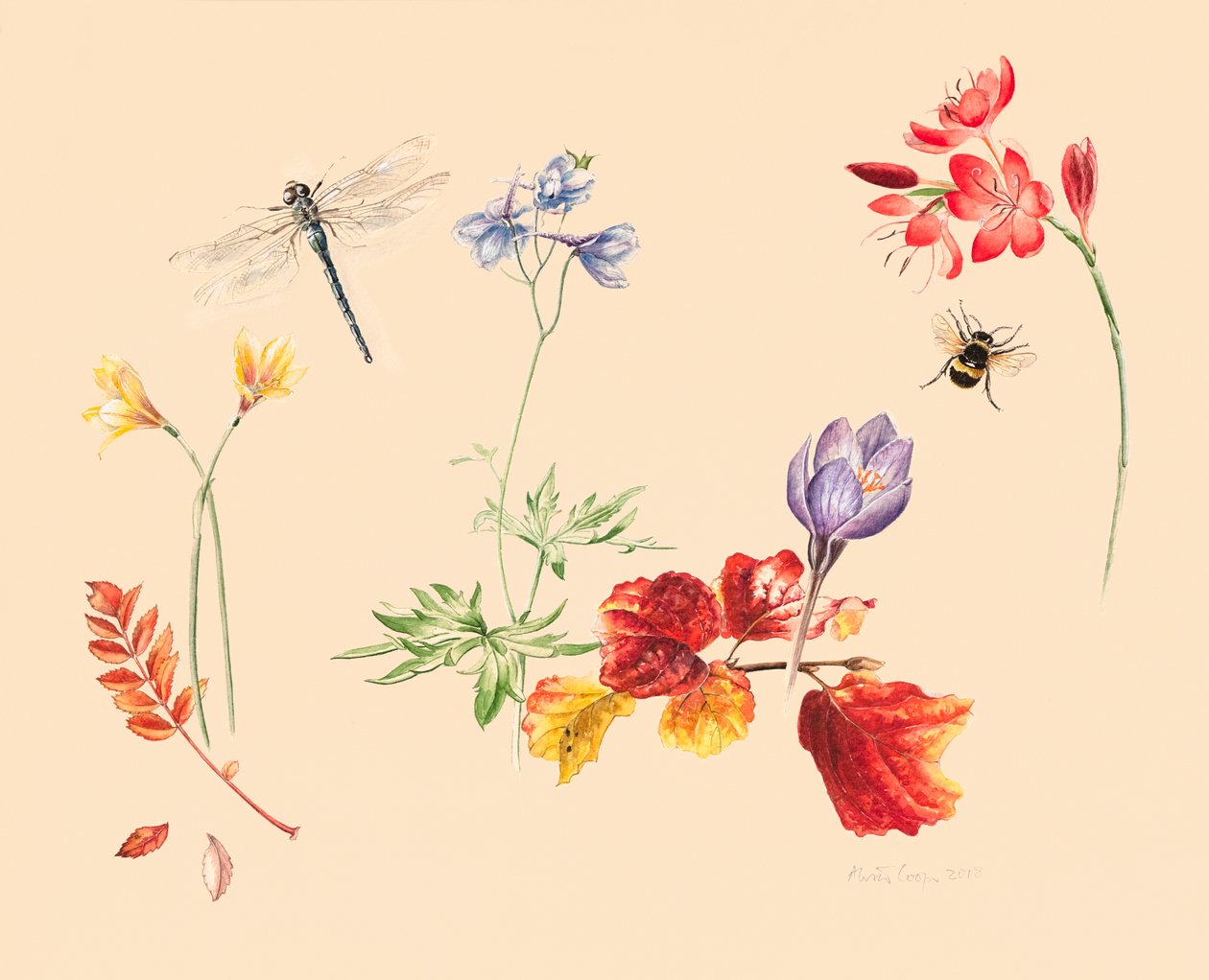 Autumn Flowers and Insects by Alison Cooper