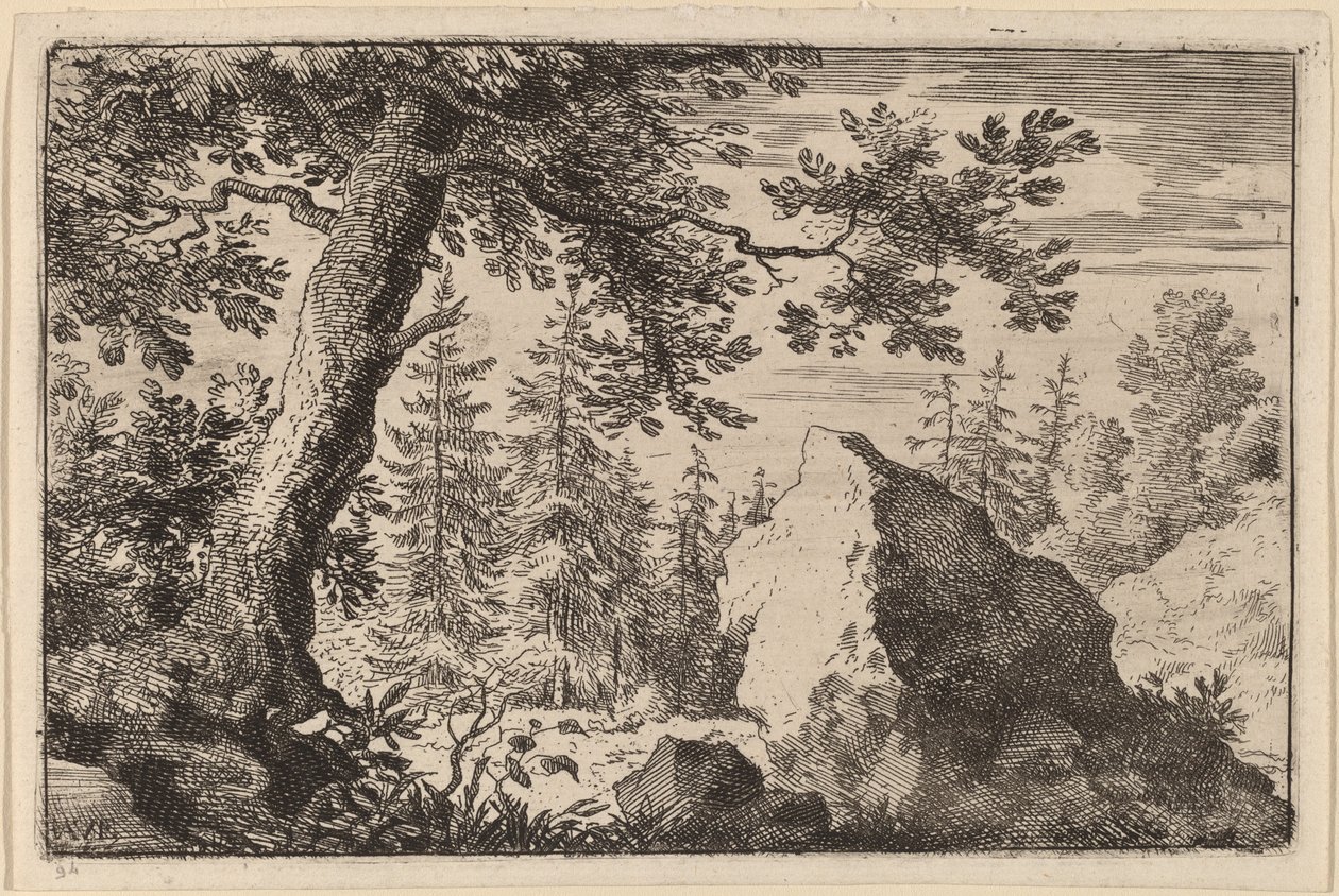 Boulder in the Woods by Allart van Everdingen