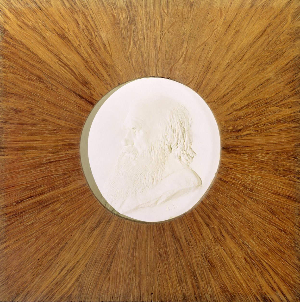 Charles Darwin, c.1881 by Alphonse Legros