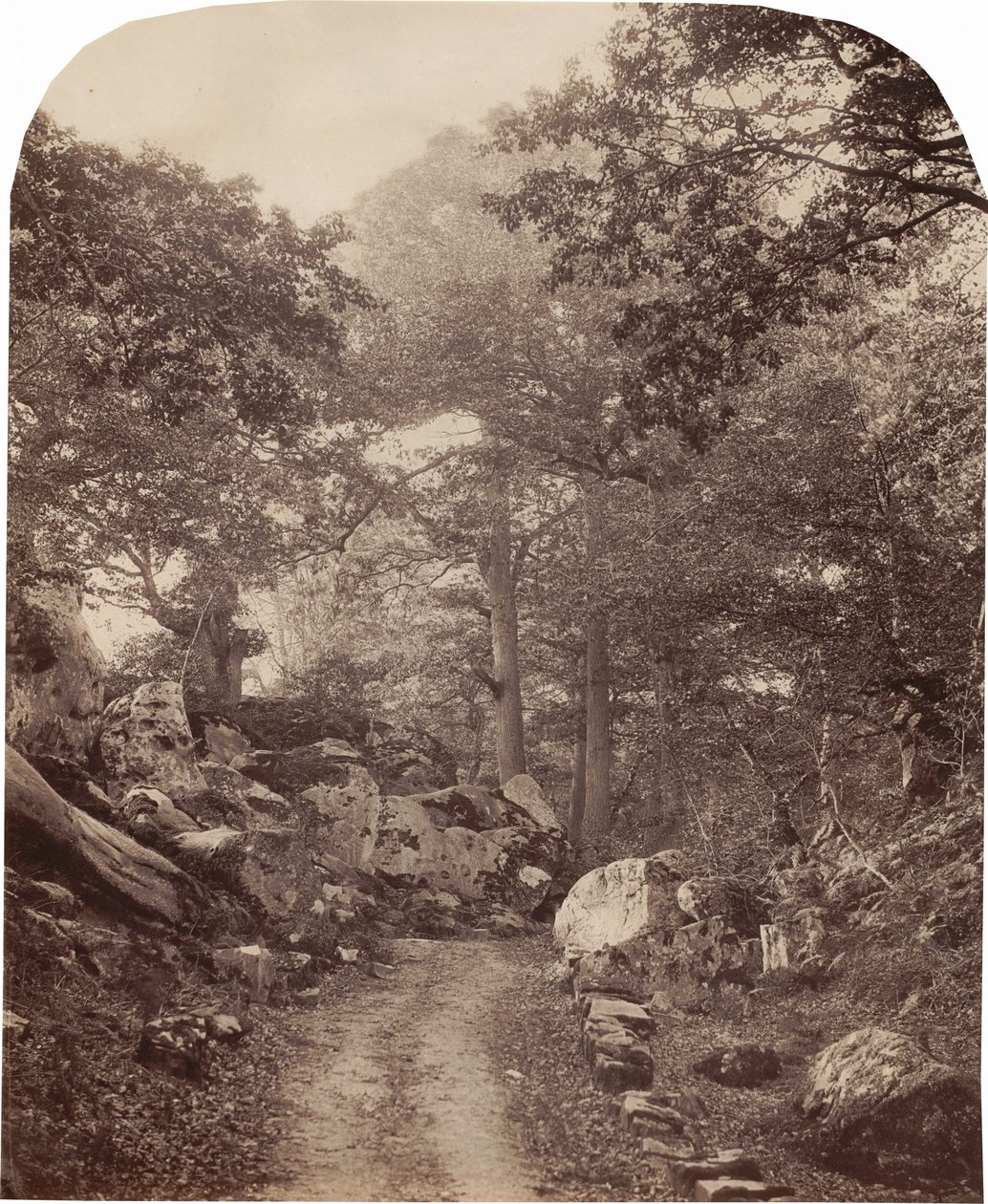 Fontainebleau, c. 1860s by Alphonse Francois Jeanrenaud