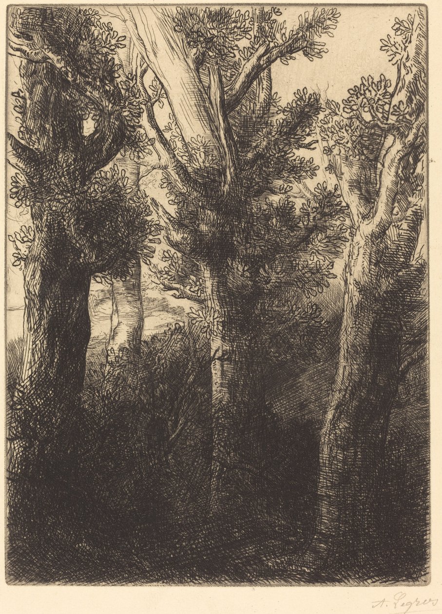 German Forest, Downley by Alphonse Legros