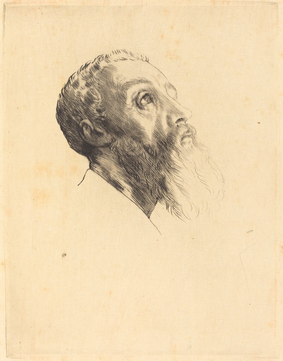 Head of a Model by Alphonse Legros