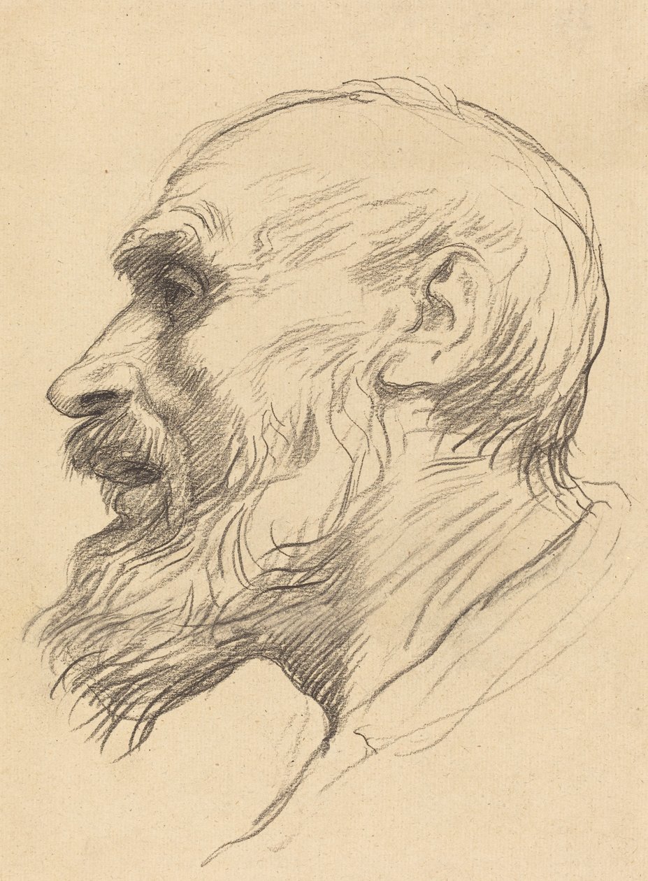 Head of an Old Man by Alphonse Legros
