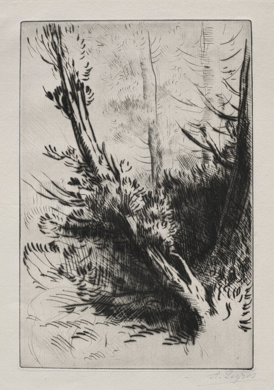 In the Woods by Alphonse Legros