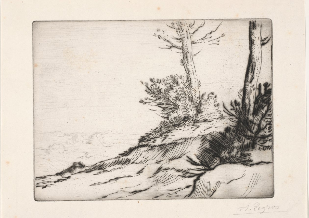 The Hill of Brushwood by Alphonse Legros