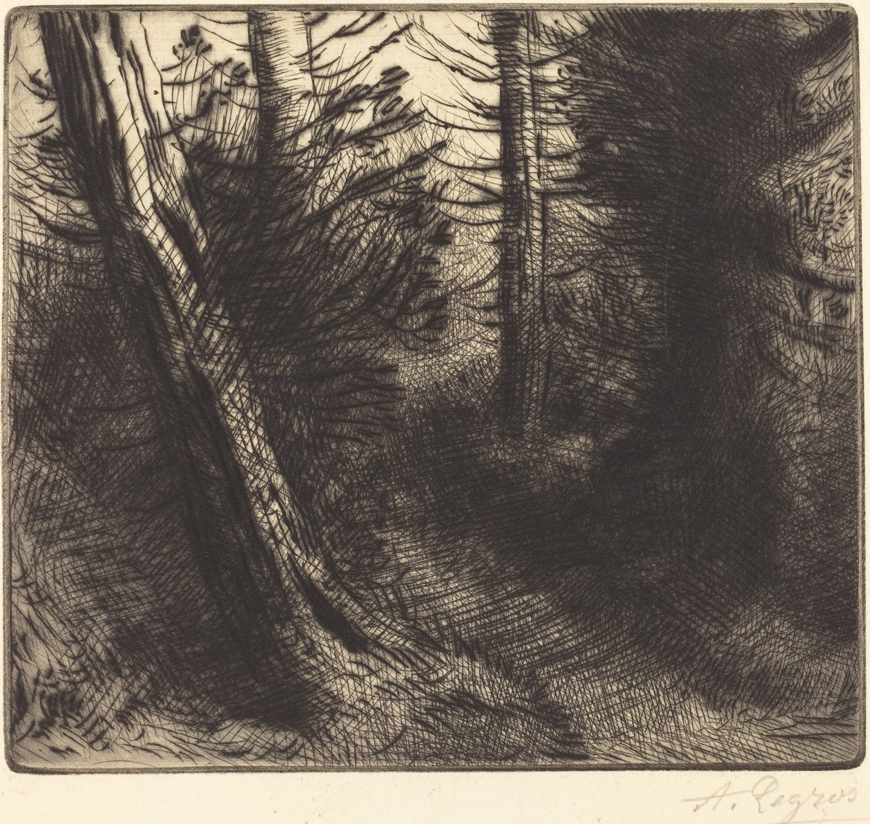 Path through the Woods by Alphonse Legros