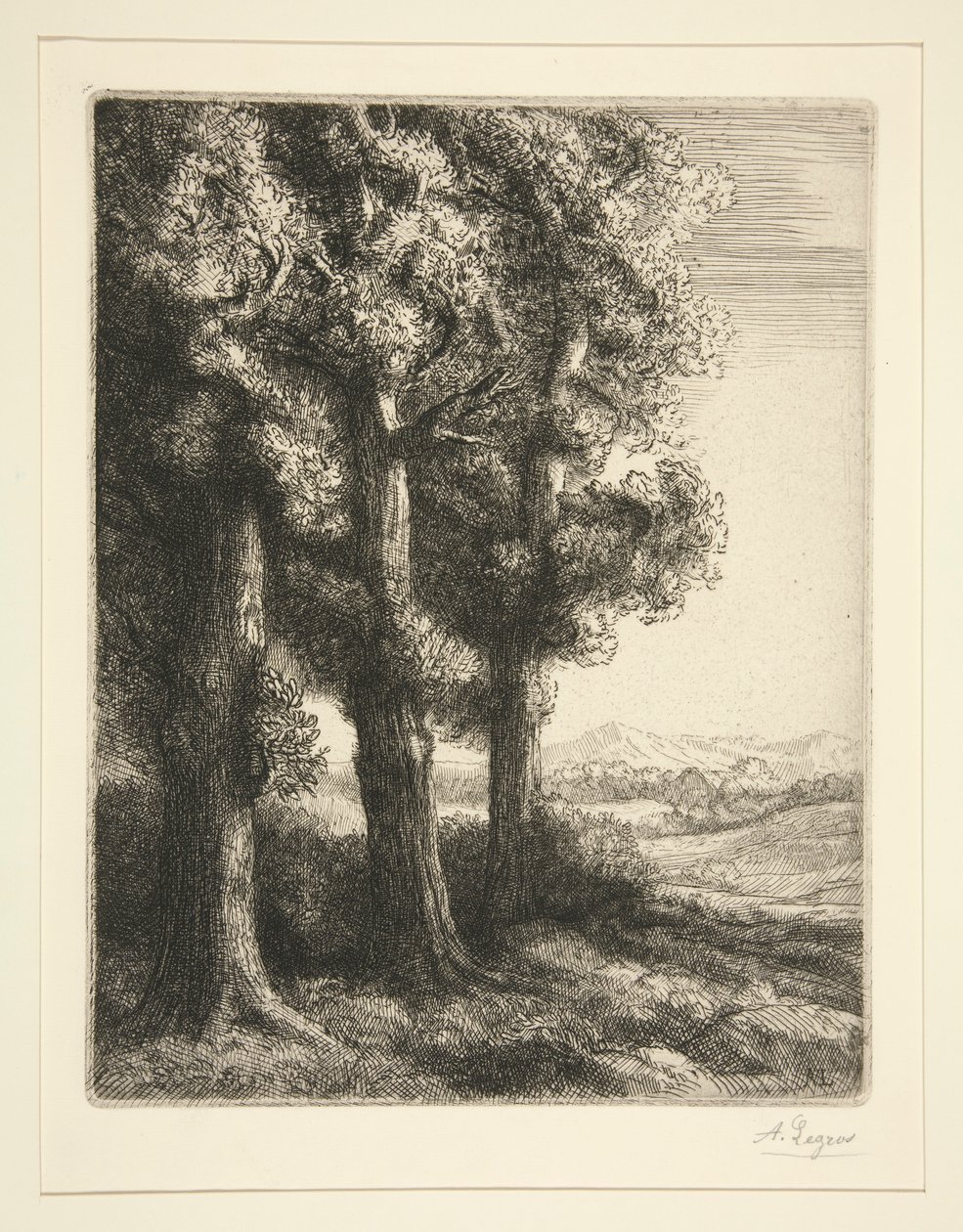 Three Trees by Alphonse Legros