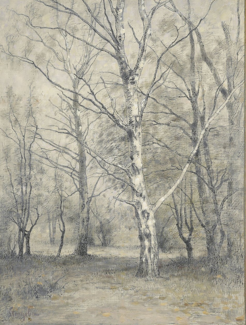Forest with Birch Trees by Alphonse Stengelin