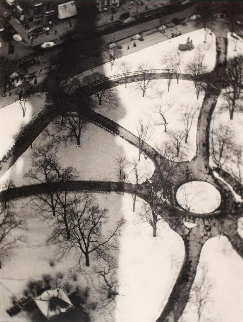 The Octopus, New York by Alvin Langdon Coburn