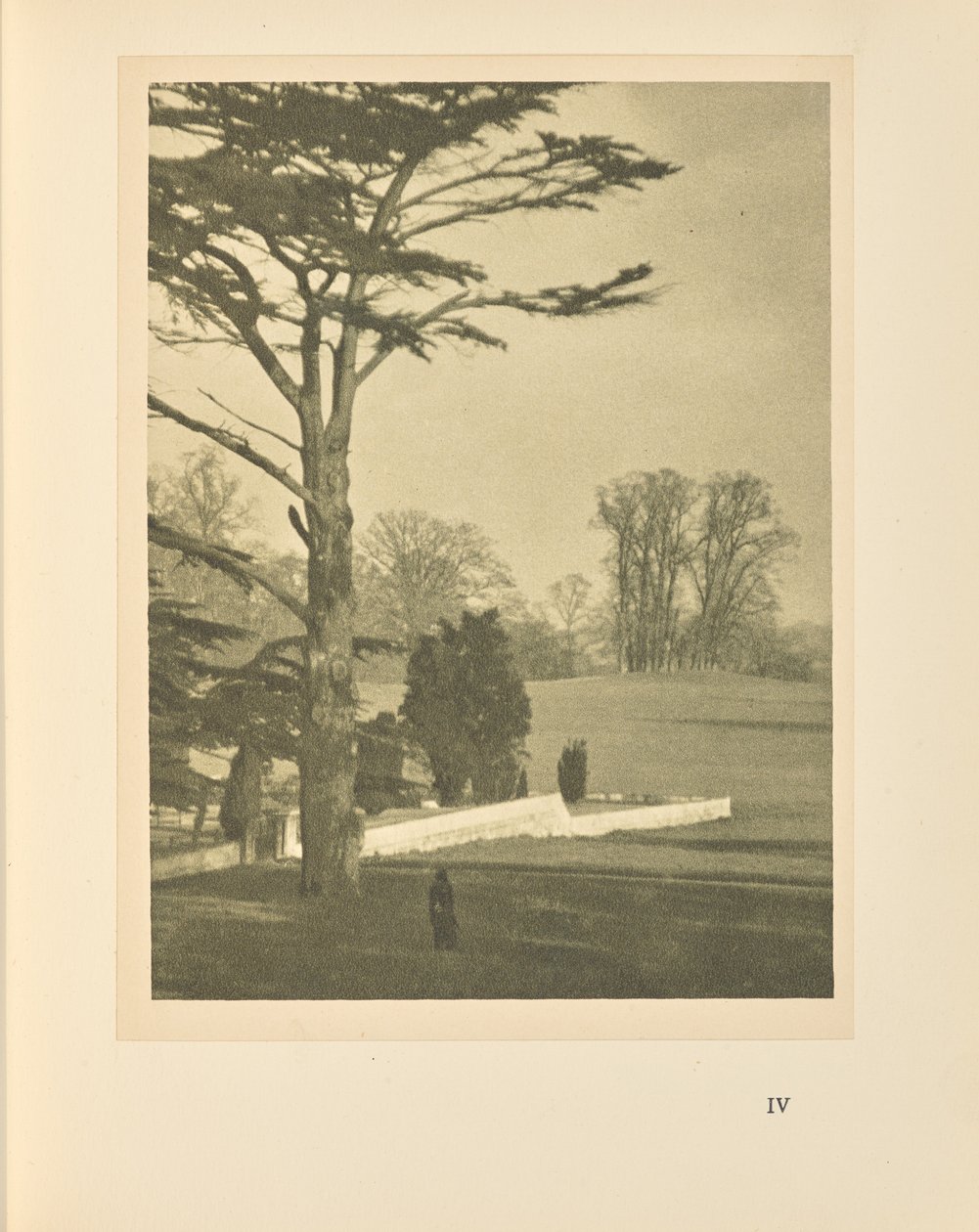 The Edge of the Garden by Alvin Langdon Coburn