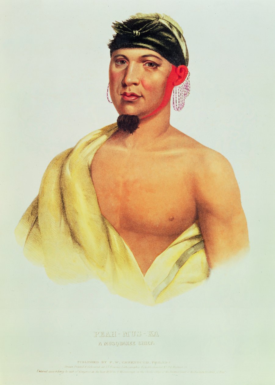 Peah-Mus-Ka, a Musquakee Chief by American School