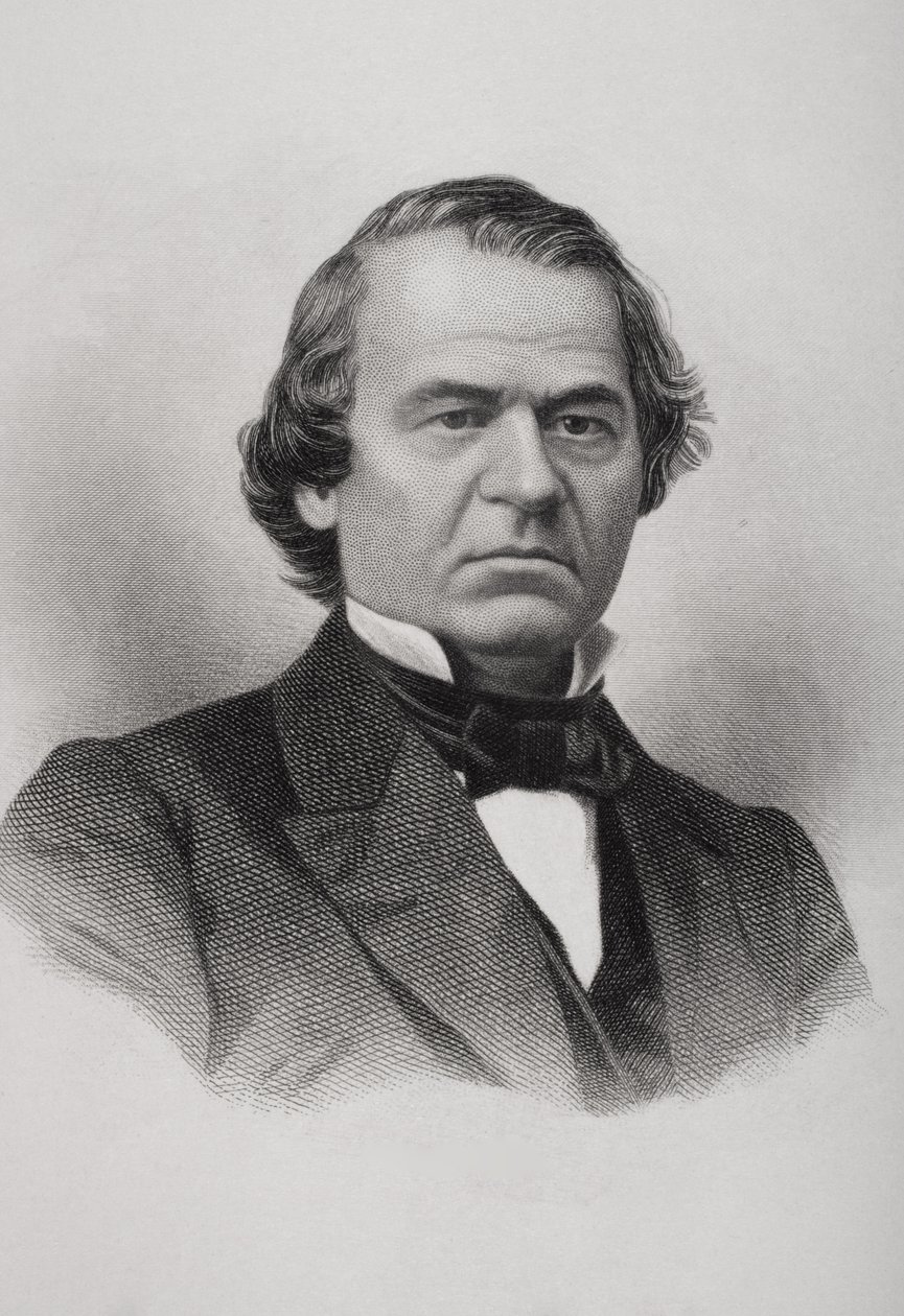 Portrait of Andrew Johnson by American School