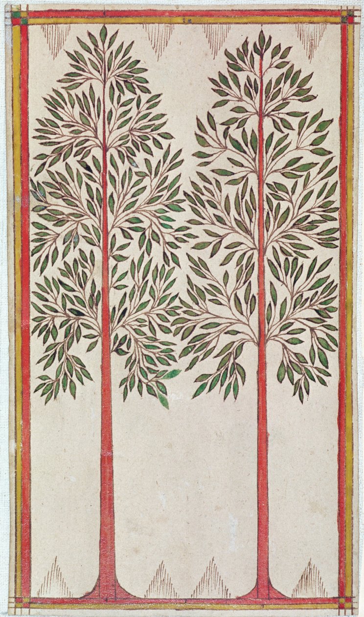 Trees by American School