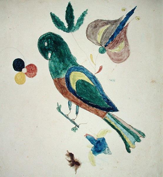 Parakeet by American School