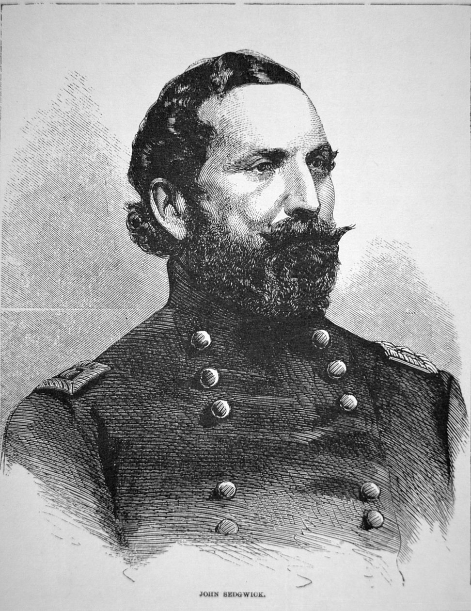 Portrait of General John Sedgwick by American School