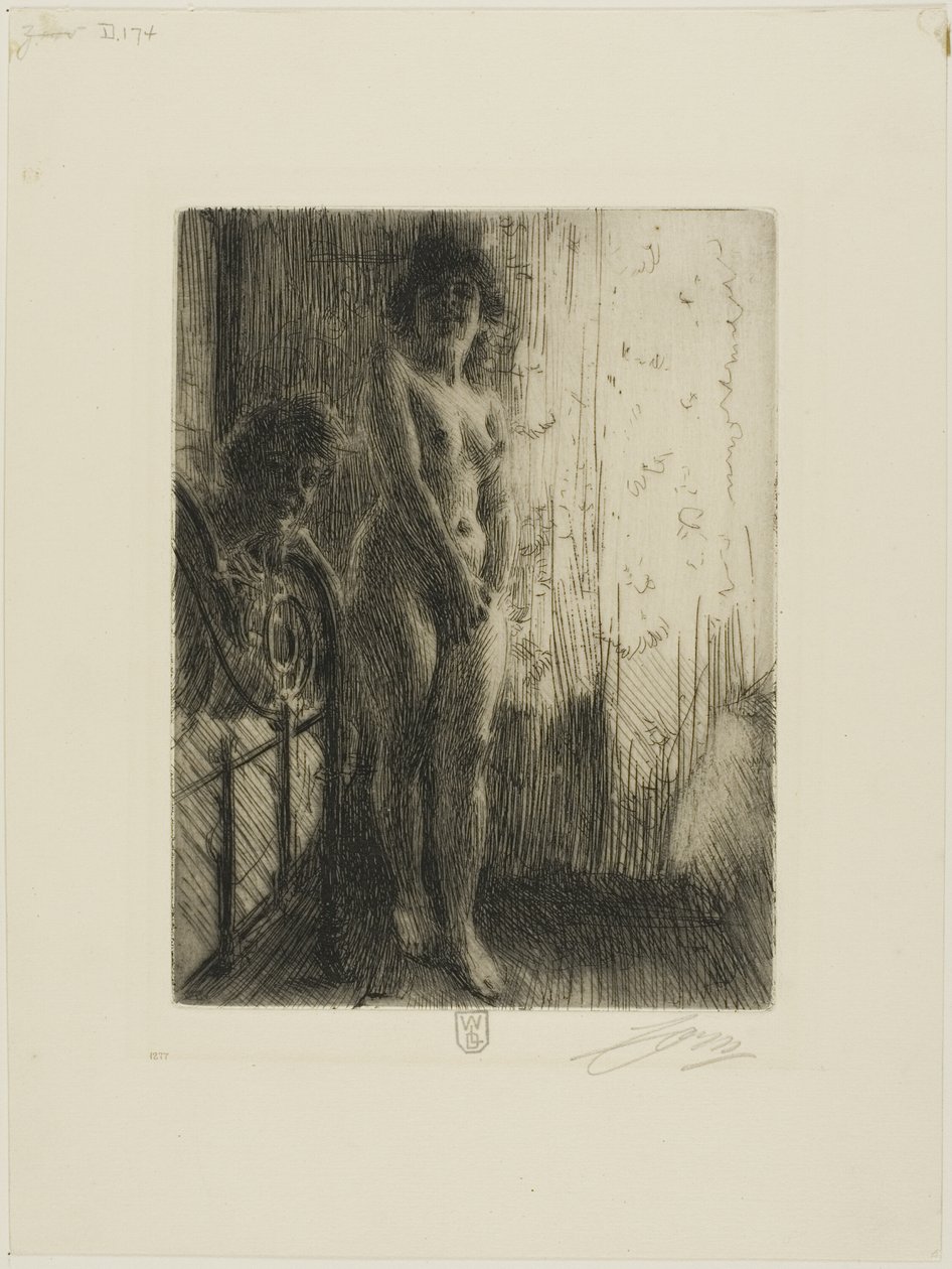 A Dark Corner by Anders Leonard Zorn