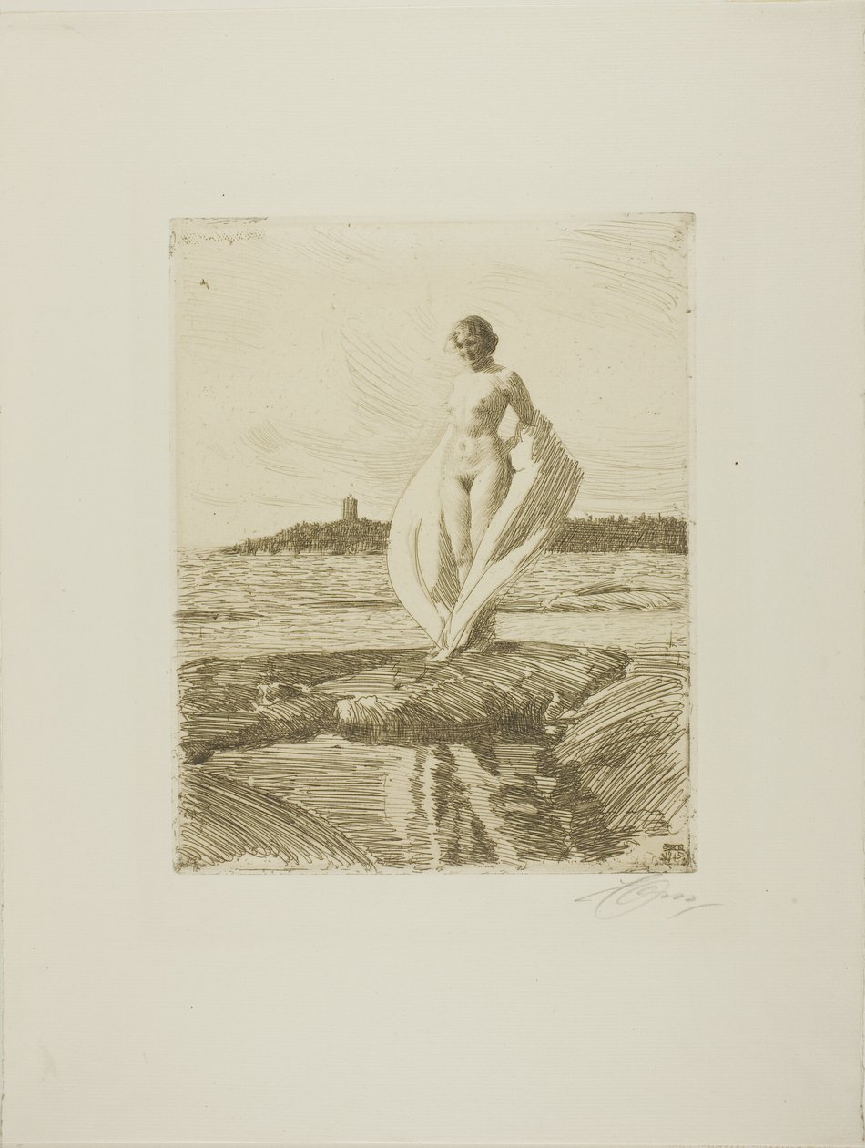 The Swan by Anders Leonard Zorn