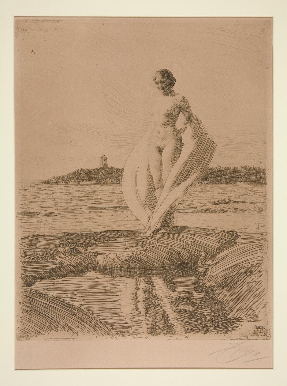 The Swan by Anders Leonard Zorn