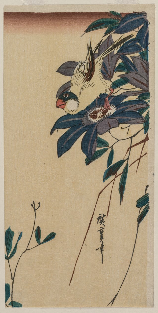 Grosbeak and Clematis by Ando Hiroshige