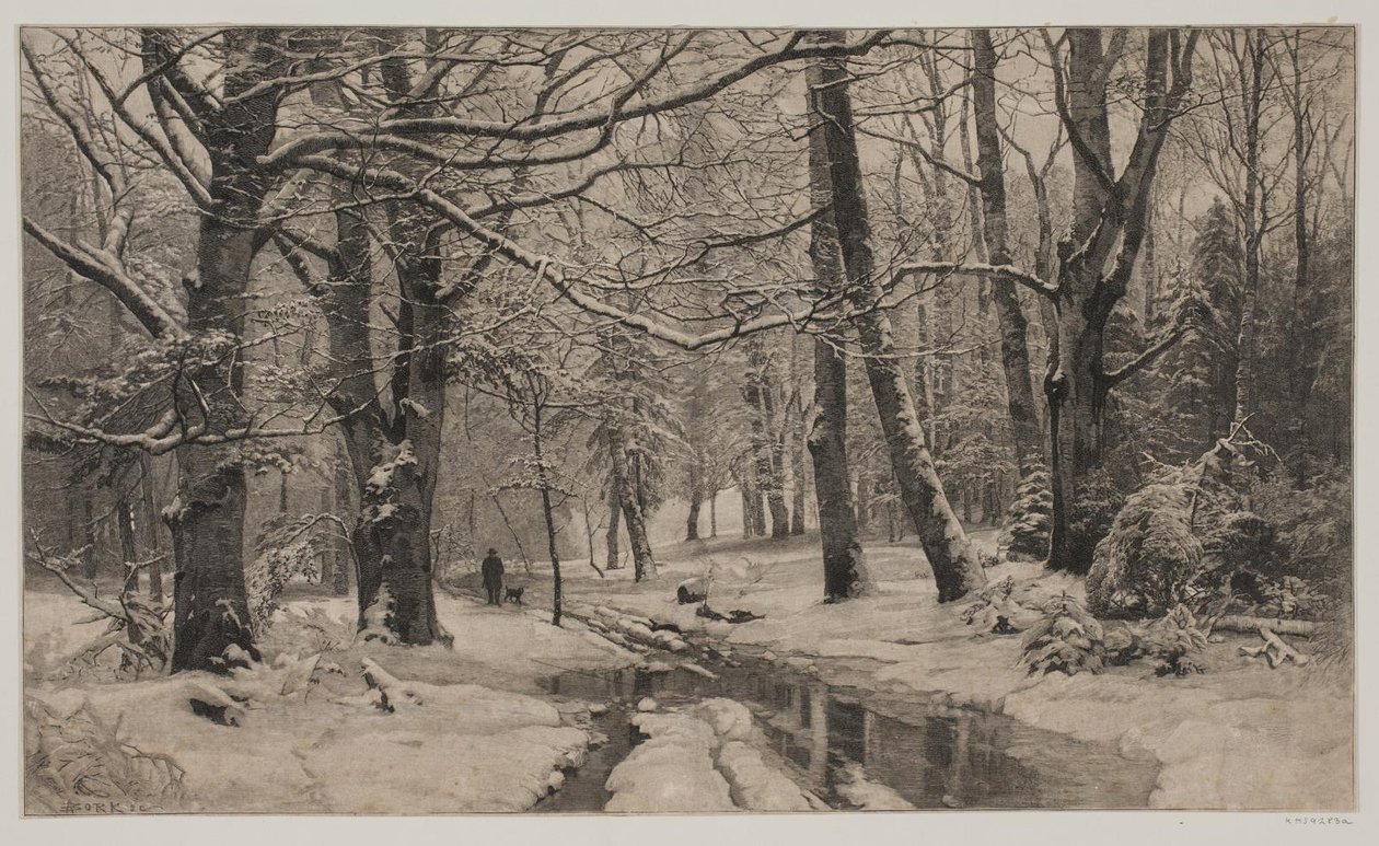 Winter Day in a Forest by André Bork
