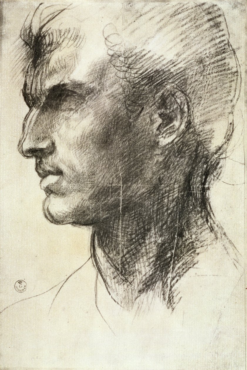 Study of a Male Head by Andrea del Sarto