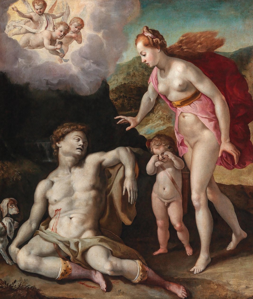 Venus Mourning the Death of Adonis by Andrea Boscoli