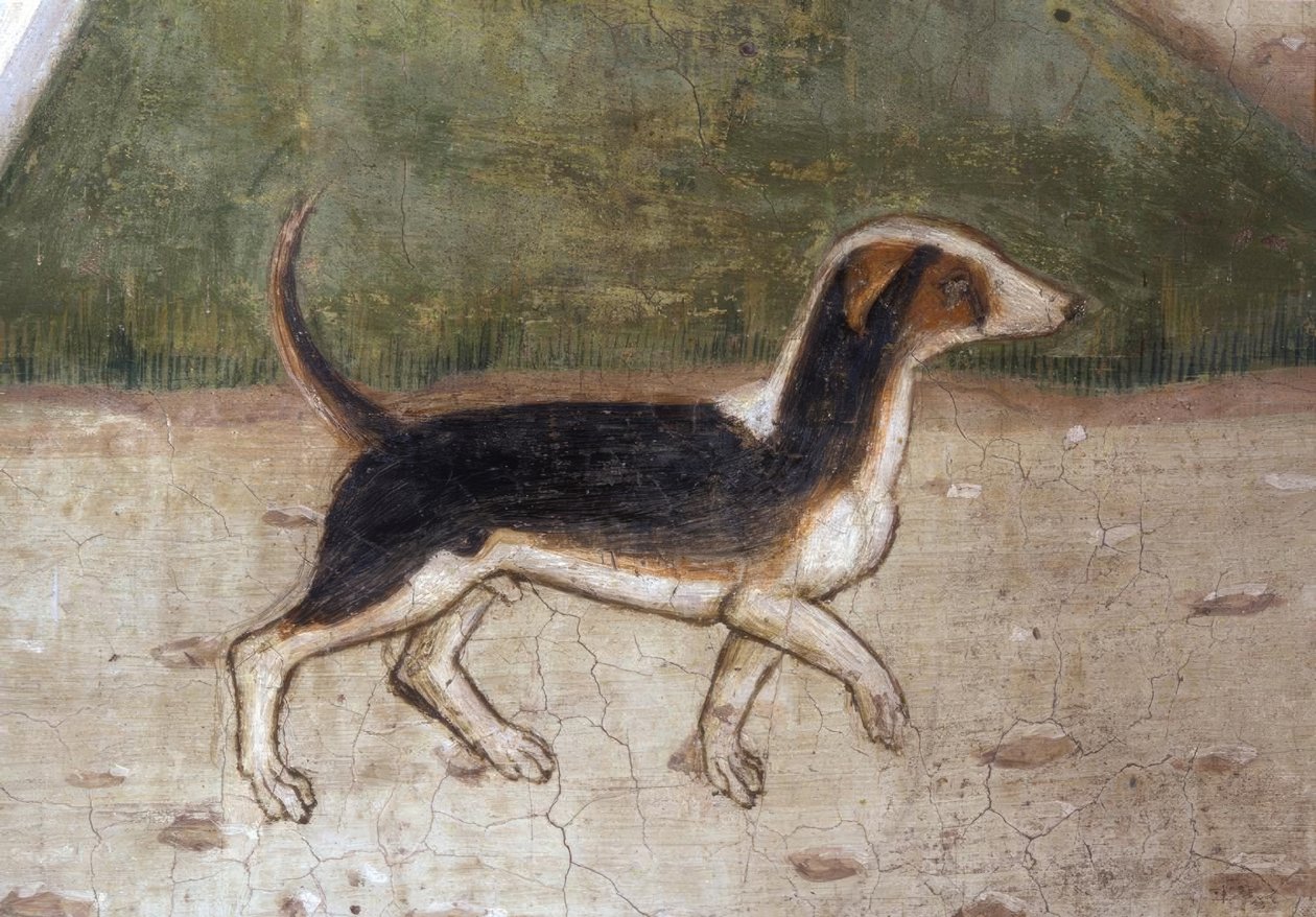 Atri, Cathedral, Dog / Fresco by A. Delitio by Andrea Delitio