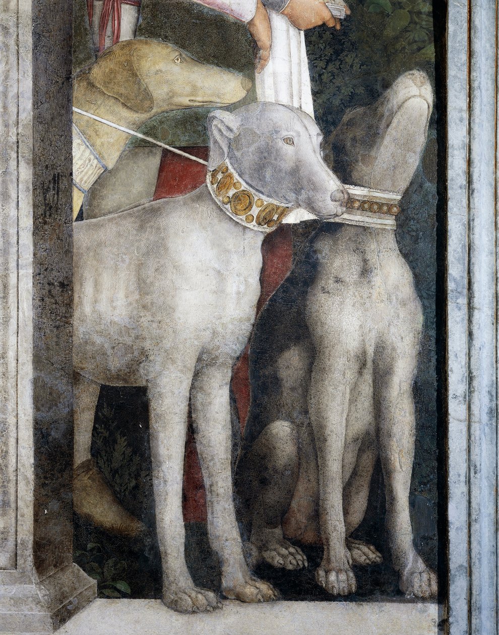 Molossian Dogs (detail) by Andrea Mantegna