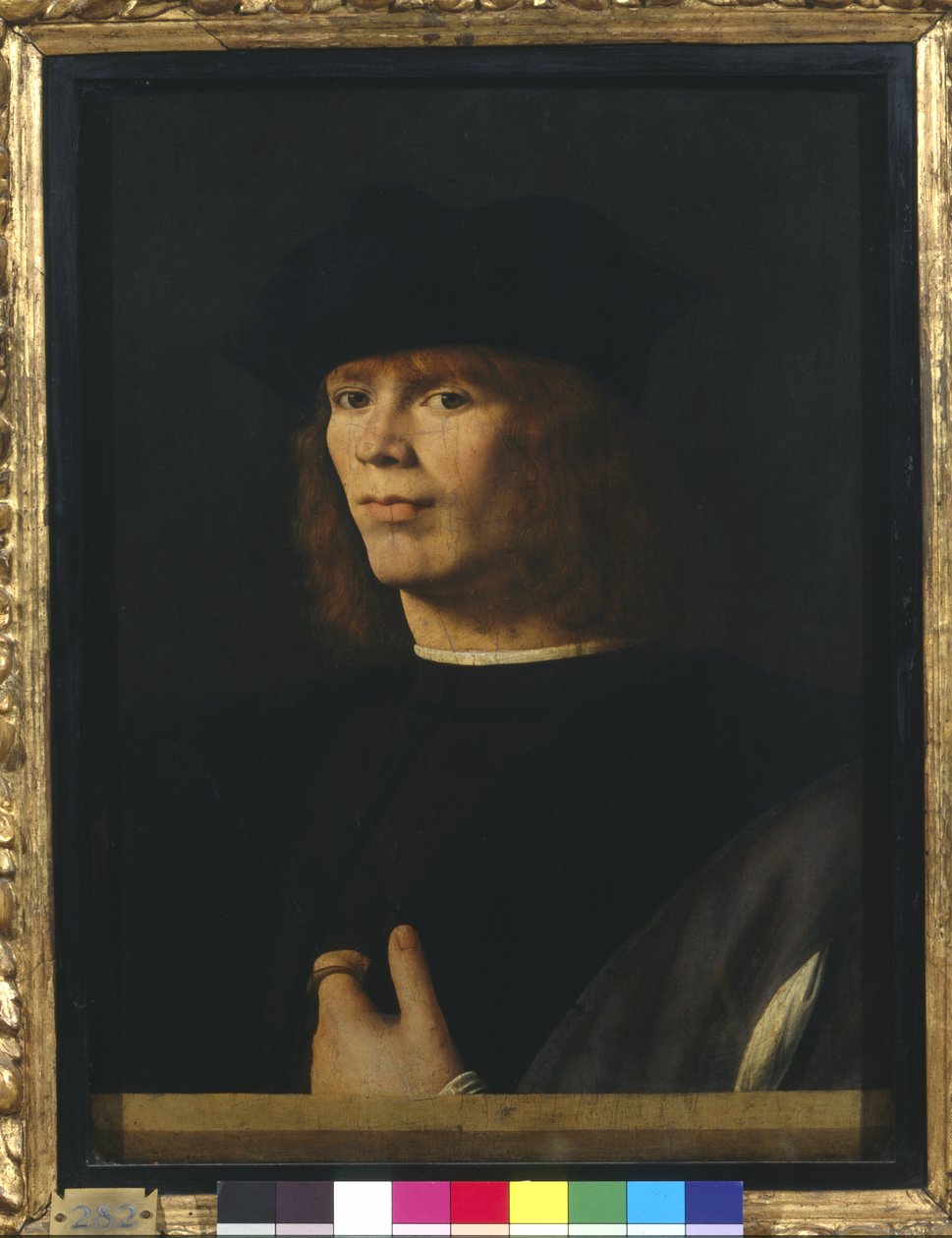 Portrait of a Young Man by Andrea Solario