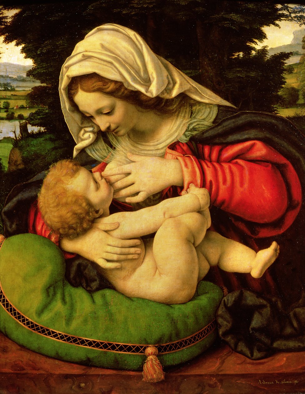 The Virgin of the Green Cushion by Andrea Solario