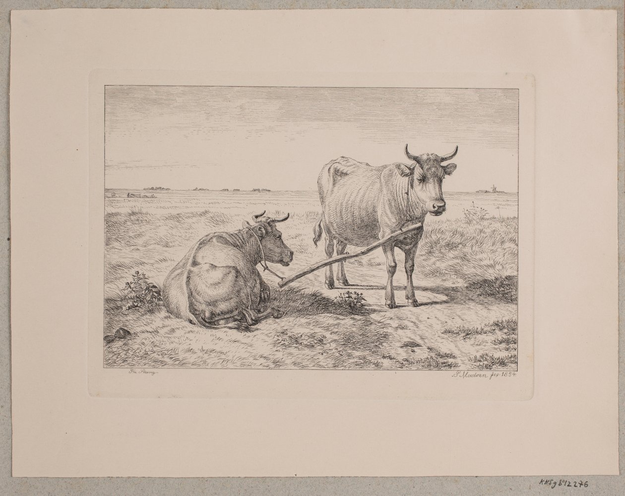 Two Connected Cows by Andreas Peter Madsen