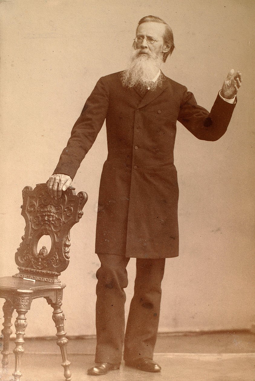 Apollon Maykow, Russian poet by Andrei Deniere