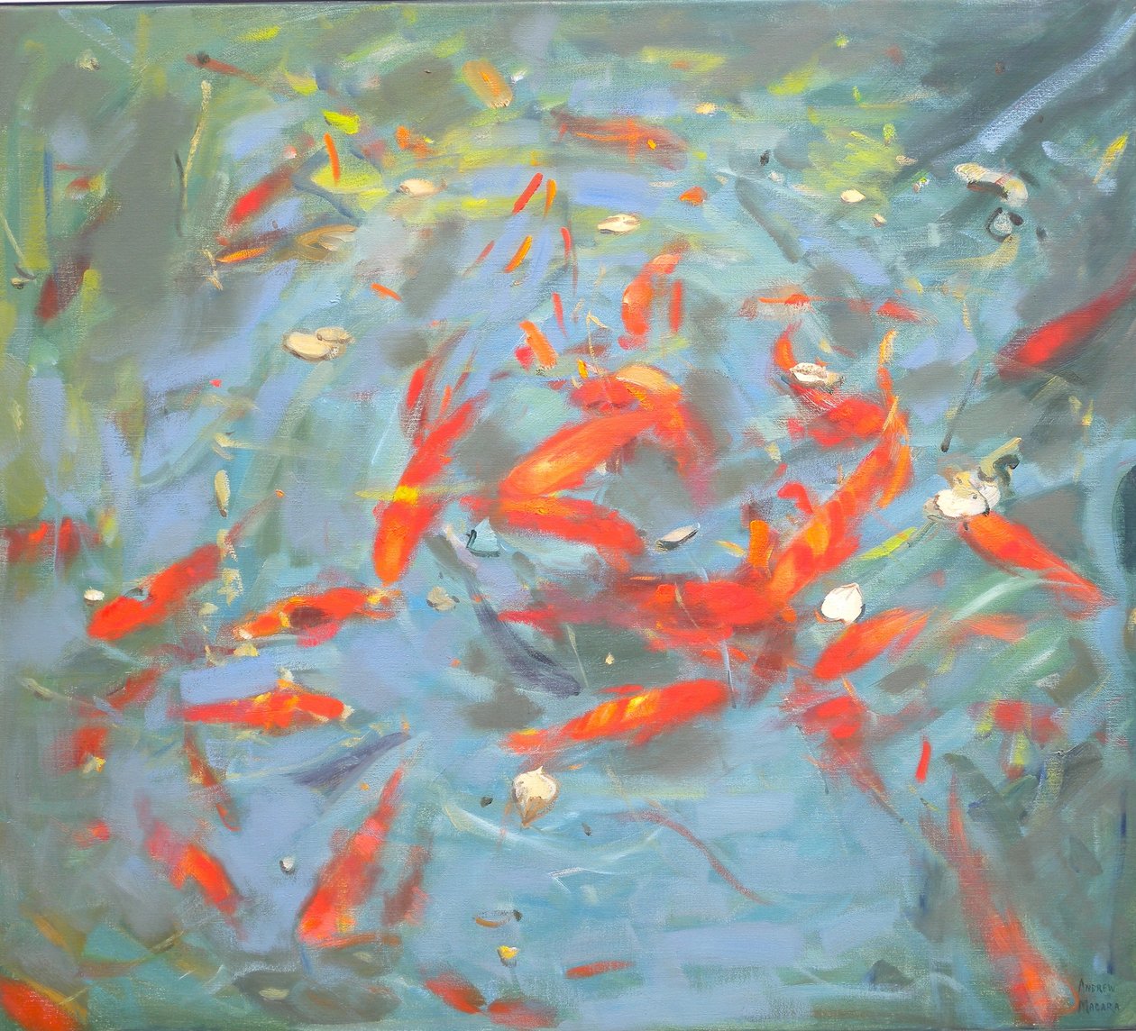 Goldfish by Andrew Macara