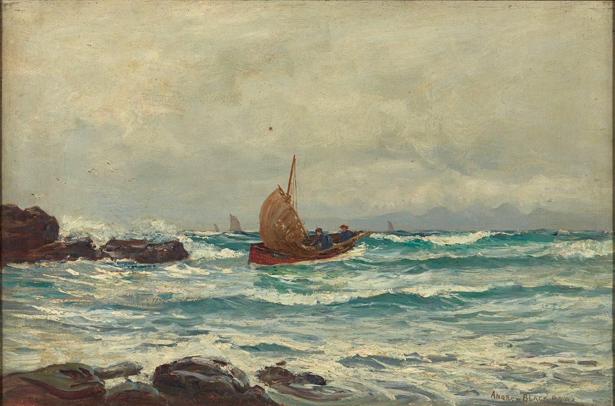 Navigating the Coastline by Andrew Black