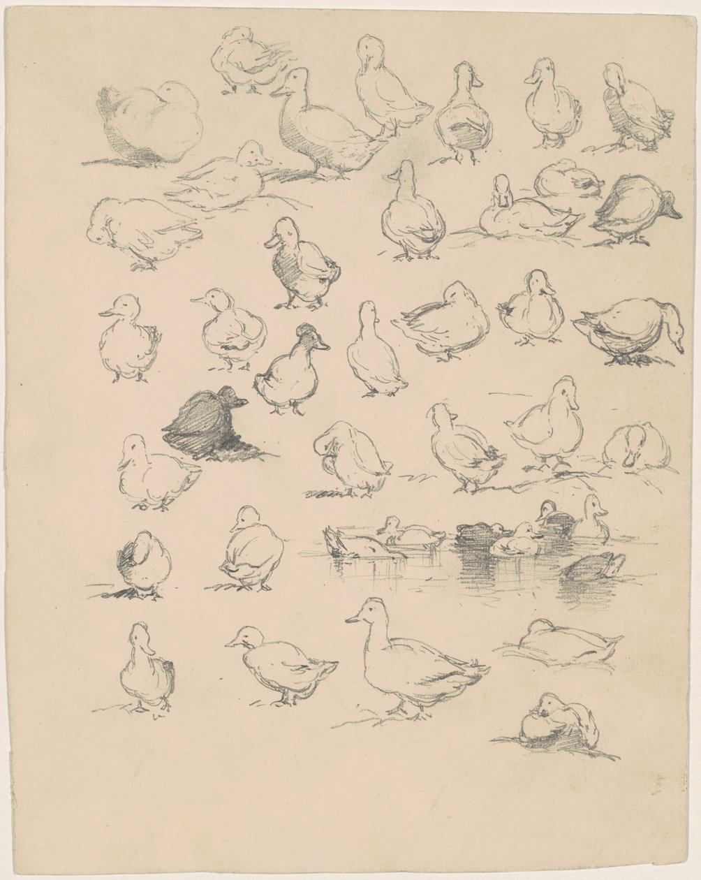 Ducks by Andrew Fisher Bunner