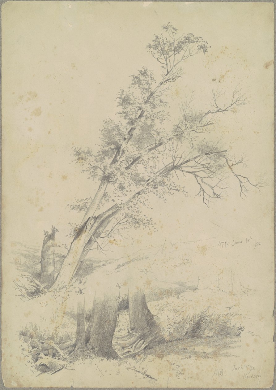 Trees, Hudson by Andrew Fisher Bunner