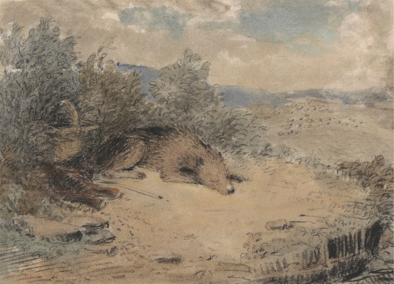 Sheepdog Asleep in a Landscape by Andrew Geddes