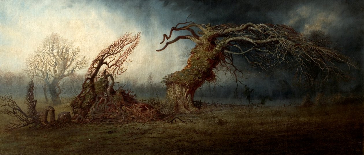 The Blasted Tree by Andrew MacCallum