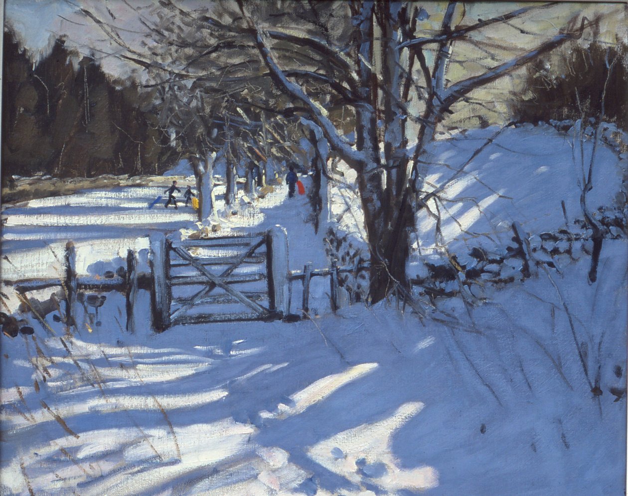 Gate Near Youlgreave, Derbyshire by Andrew Macara