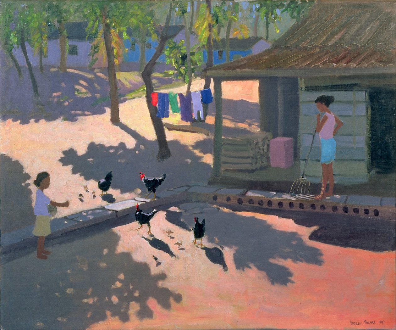 Hens and Chickens, Cuba by Andrew Macara