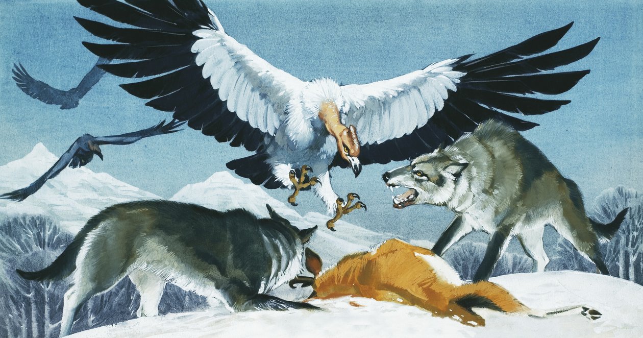 Teratornis by Angus McBride