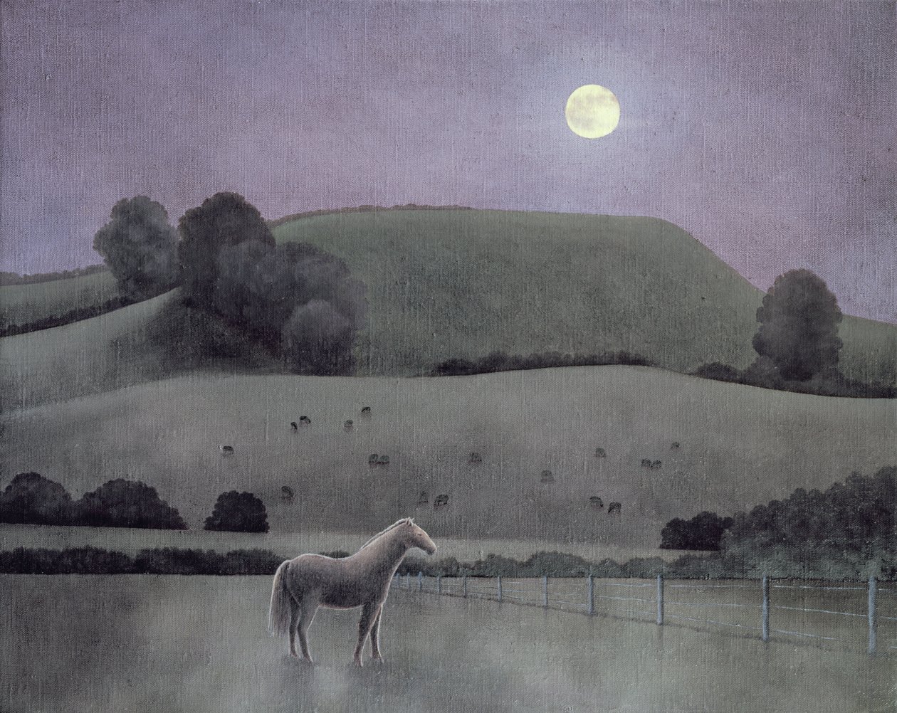Horse in Moonlight by Anna Phillips